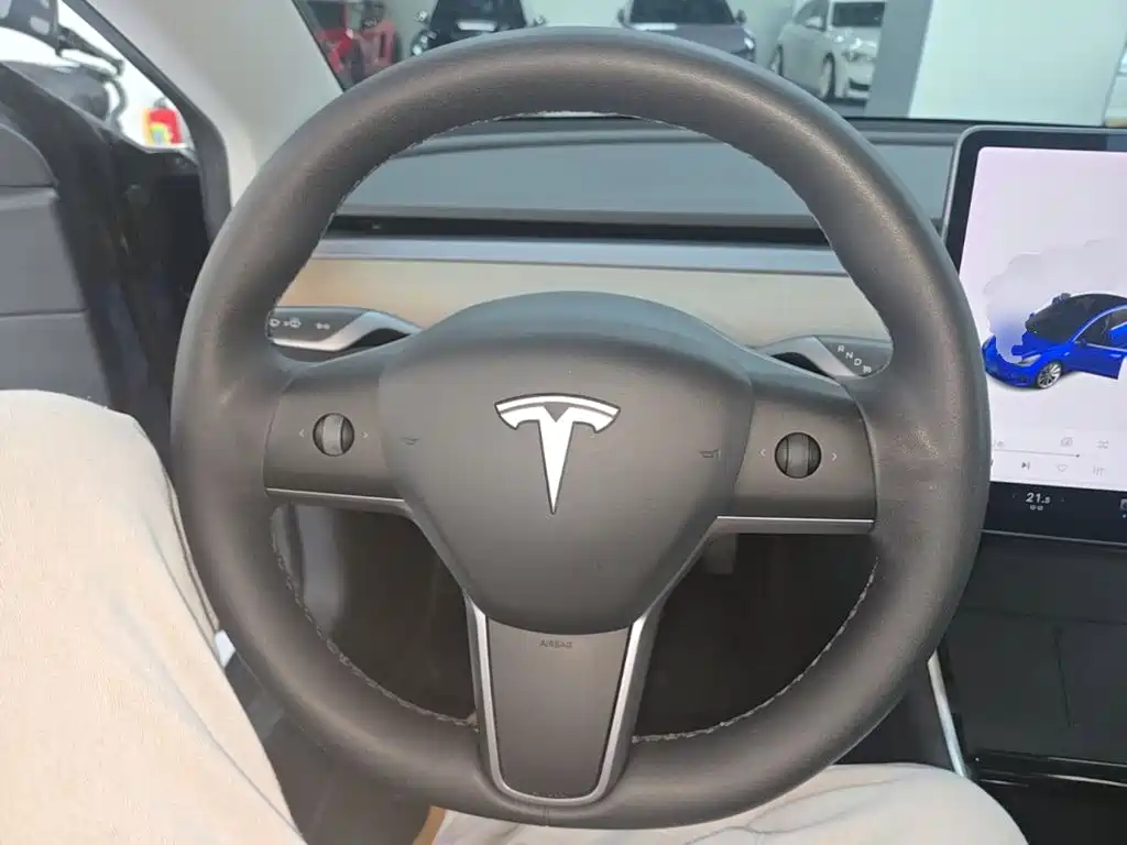 Tesla Model 3 2020 — фото 11