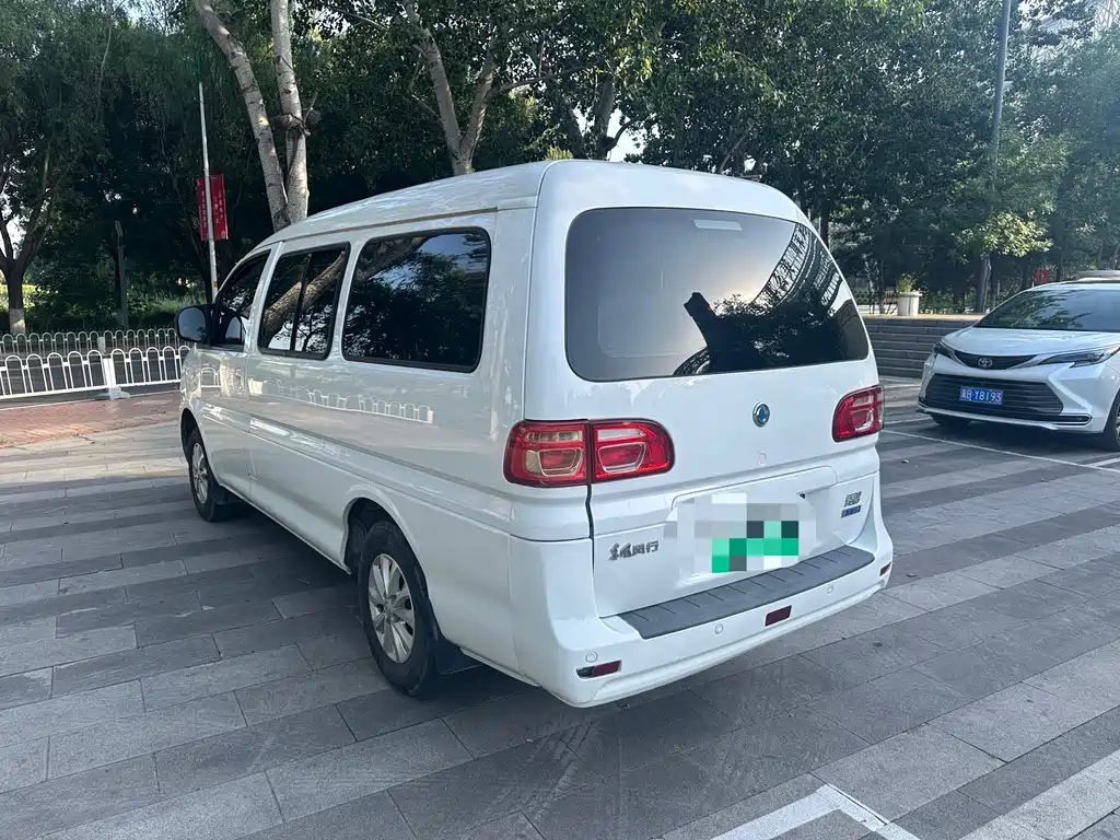 Fengxing Lingzhi New Energy 2021