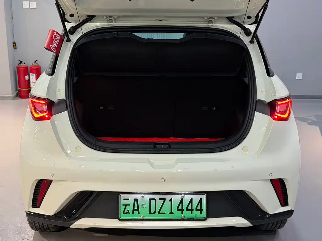 BYD Dolphin 2023