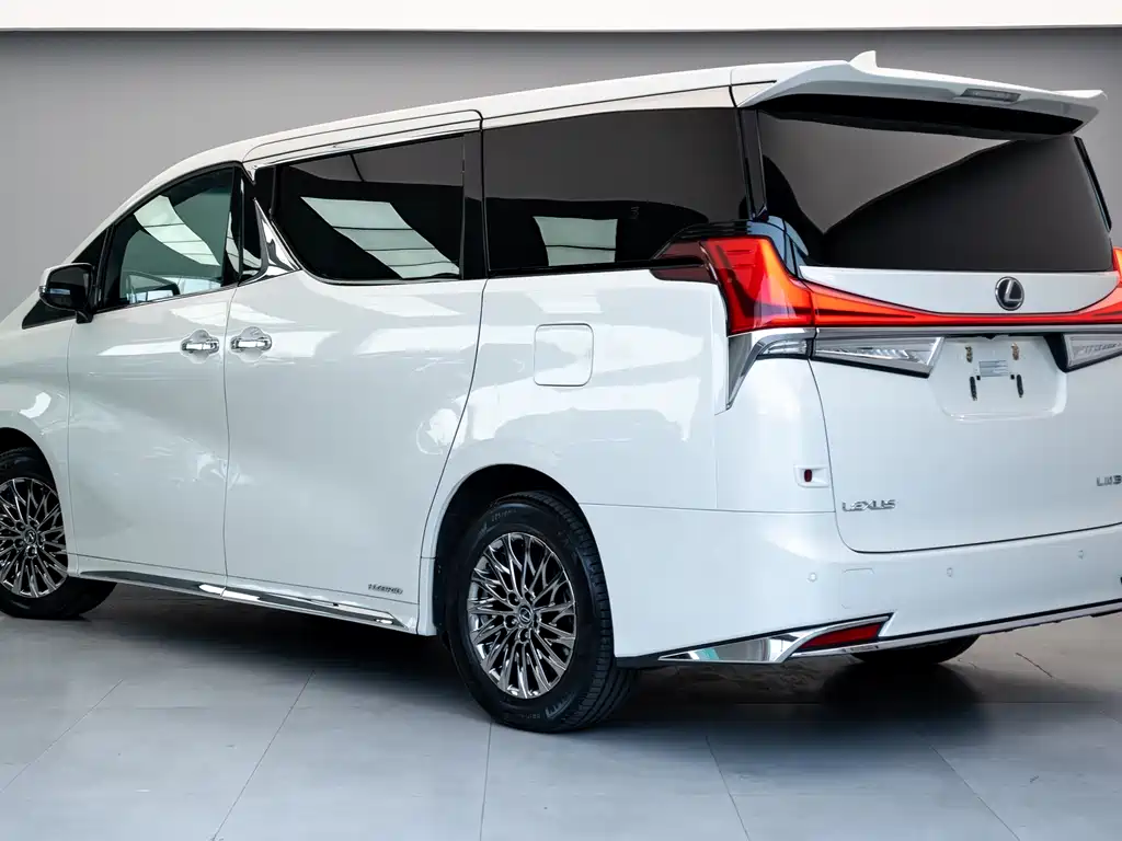 Lexus LM 2020 — фото 20