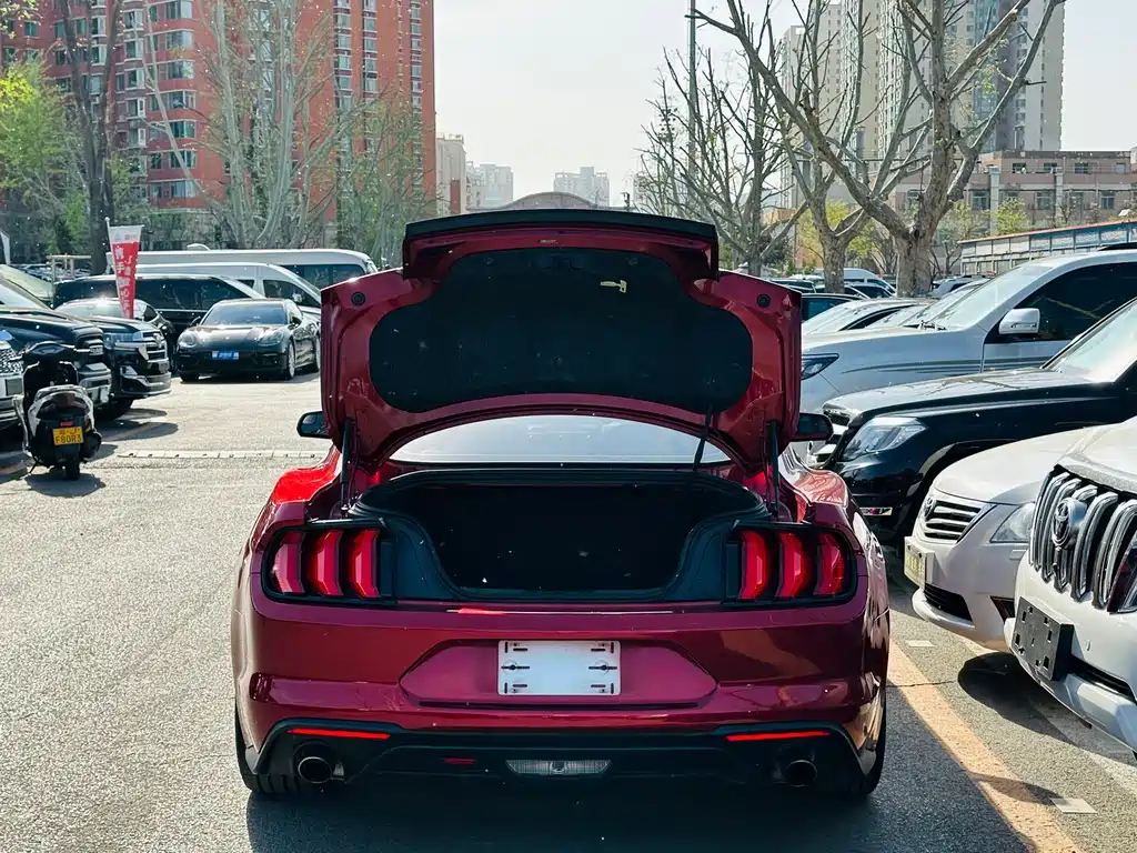 Ford Mustang 2019 — фото 21