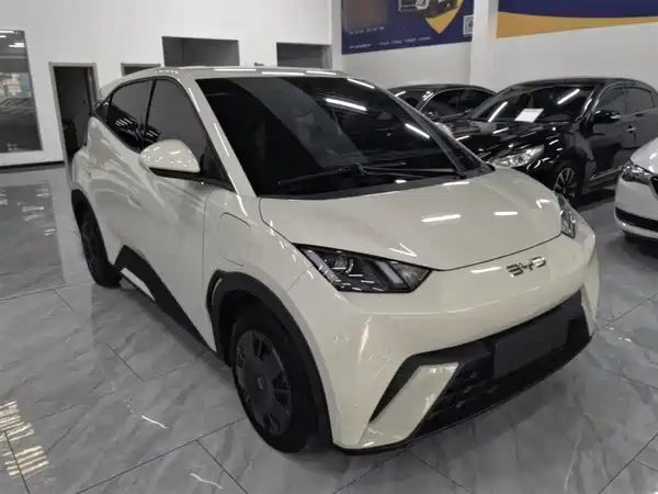 BYD Seagull 2024