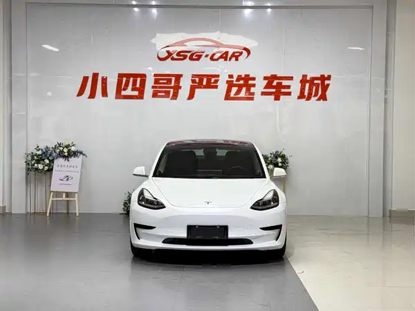 Tesla Model 3 2019