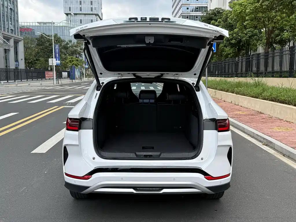 BYD PLUS New Energy 2024 — фото 17