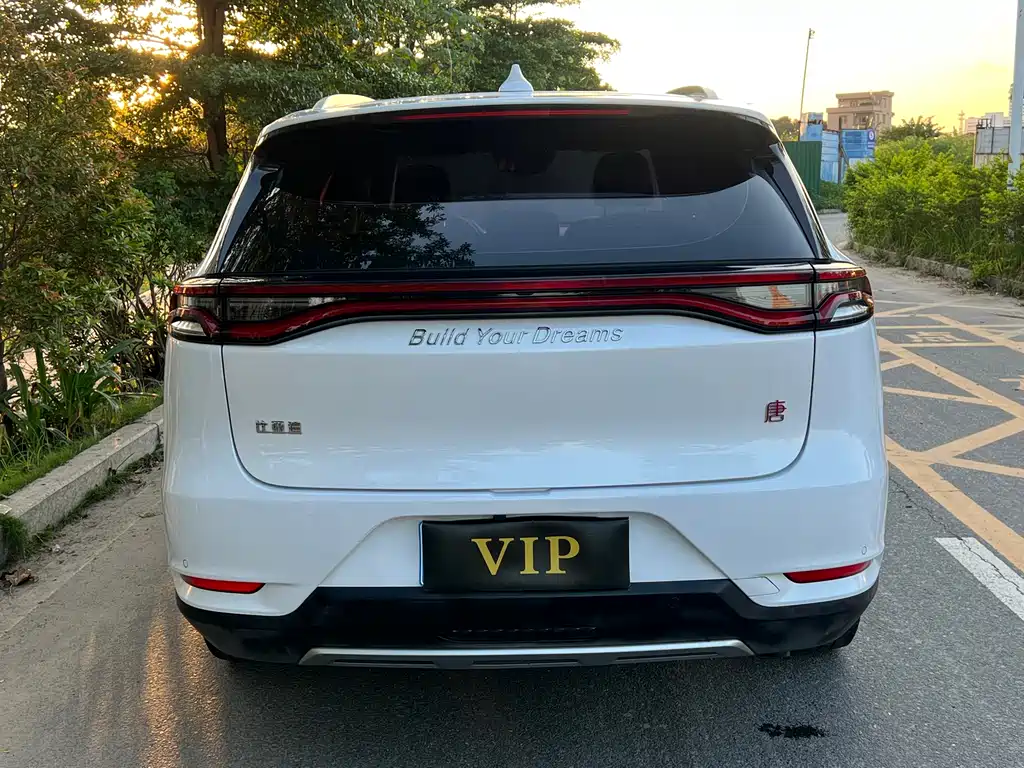 BYD Tang 2019 — фото 11