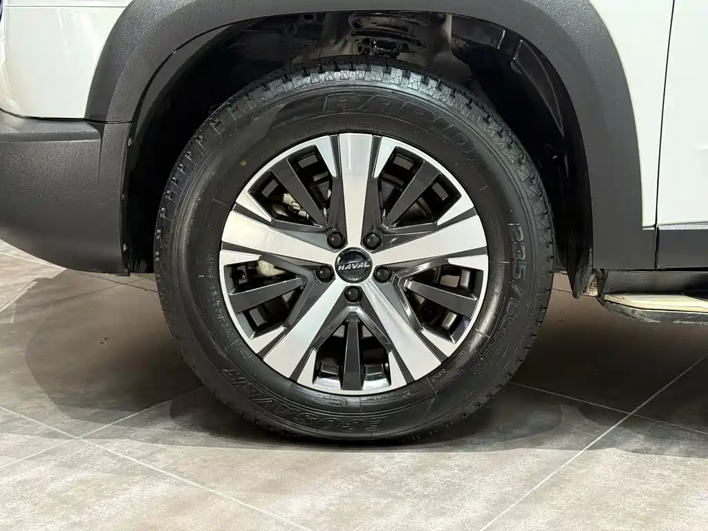 Haval Big Dog 2020 — фото 25