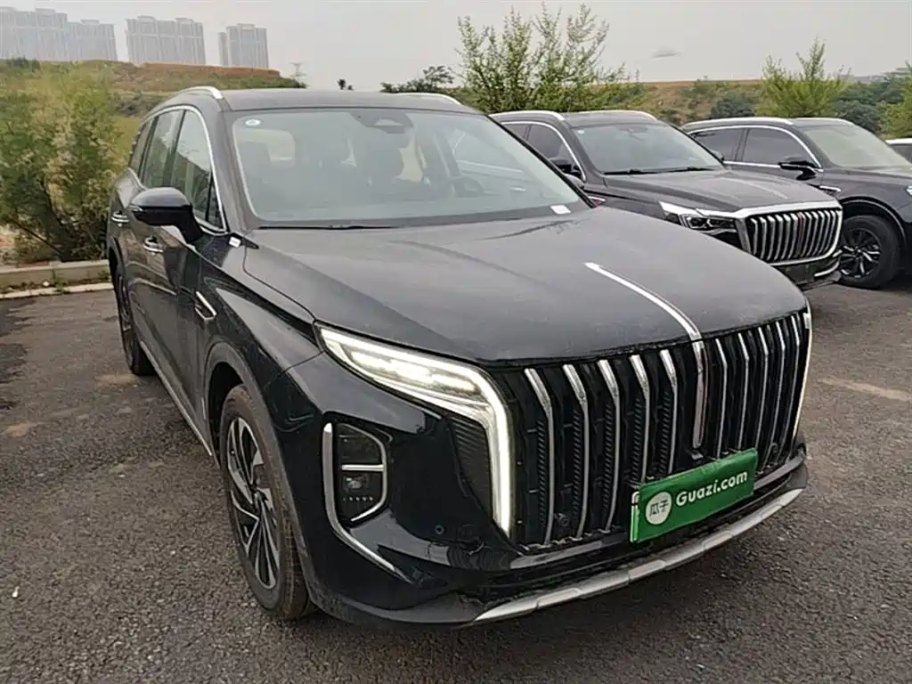Hongqi HS7 PHEV 2024 — фото 4