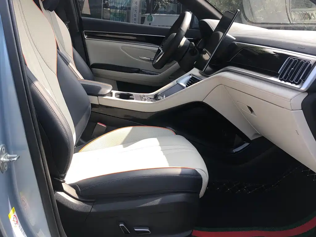 BYD PLUS New Energy 2023 — фото 13