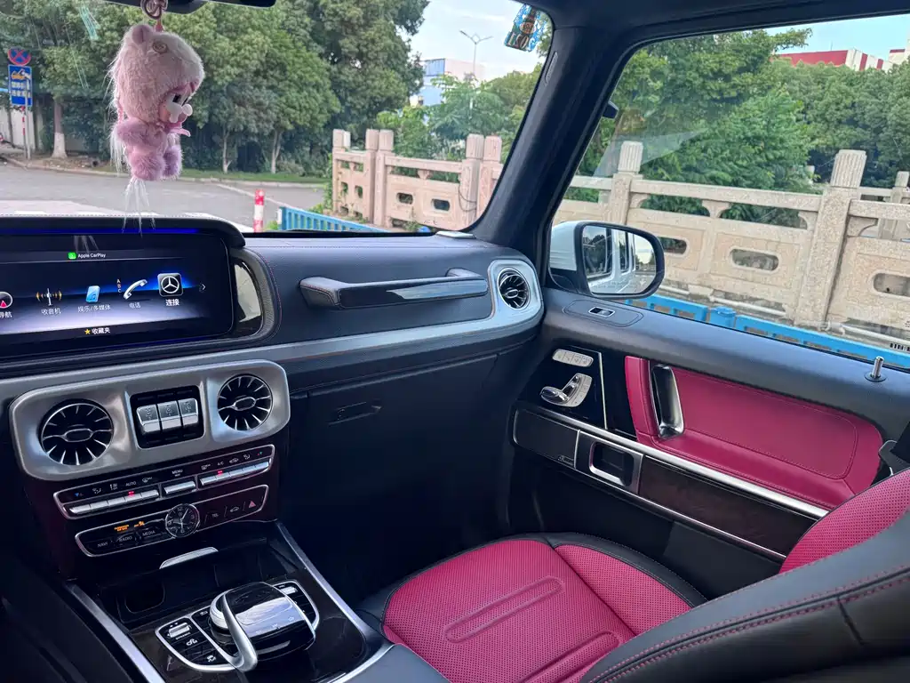 Mercedes-Benz G-Class 2019 — фото 15