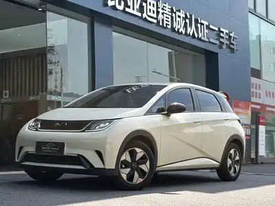 BYD Dolphin 2025