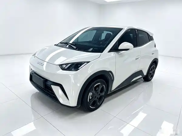 BYD Seagull 2024