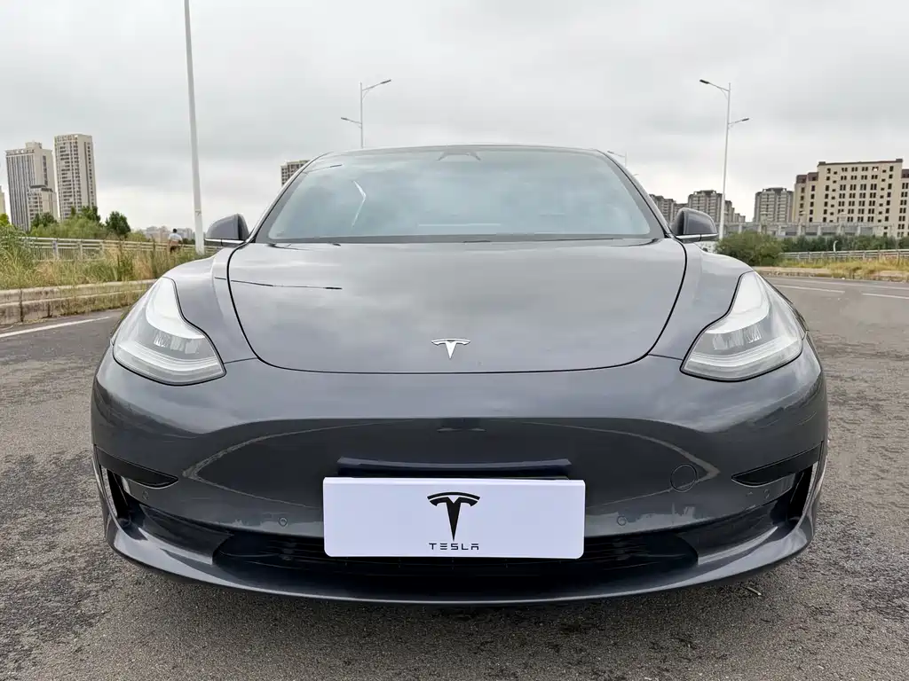Tesla Model 3 2020 — фото 2