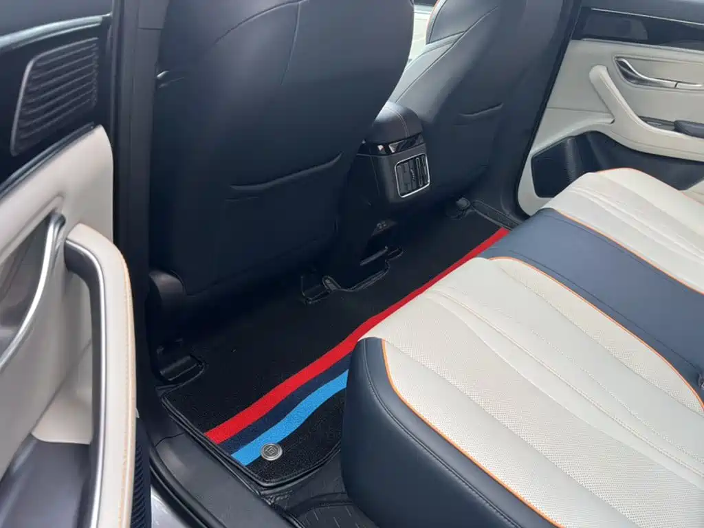 BYD Song PLUS New Energy 2024 — фото 15