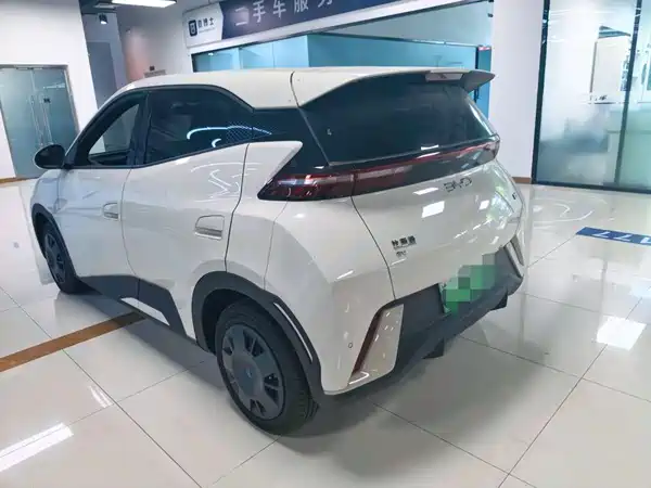 BYD Seagull 2024