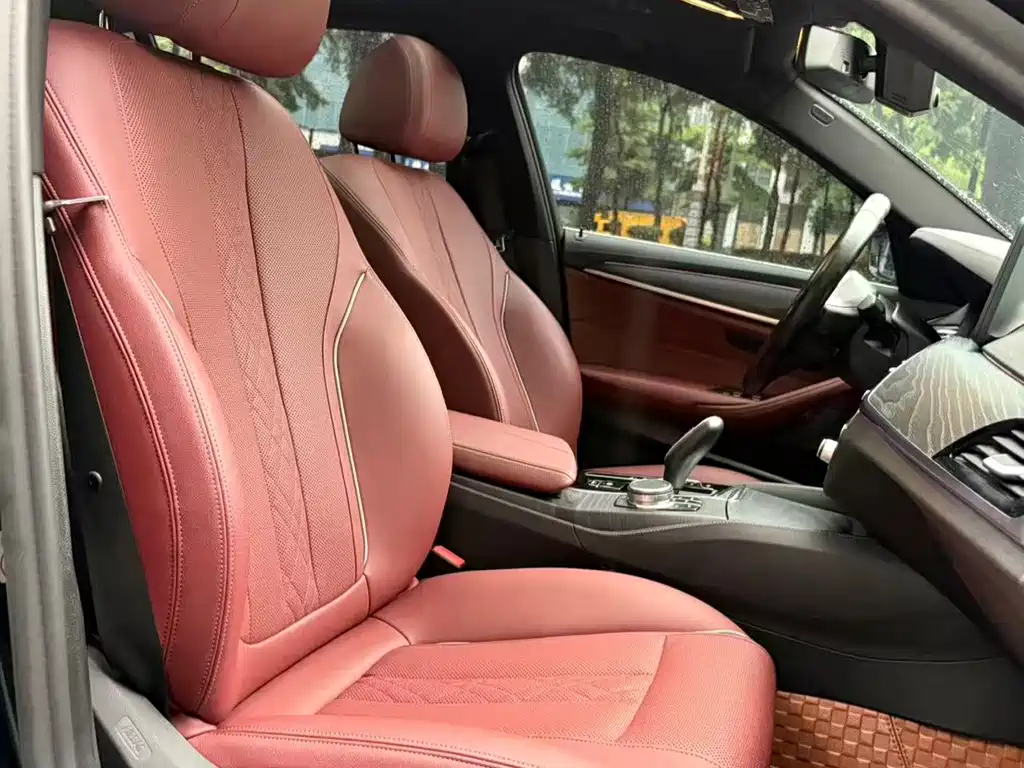 BMW 5 Series New Energy 2021