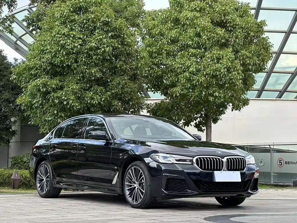 BMW 5 Series 2021