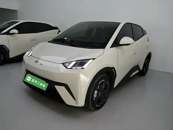 BYD Seagull 2024