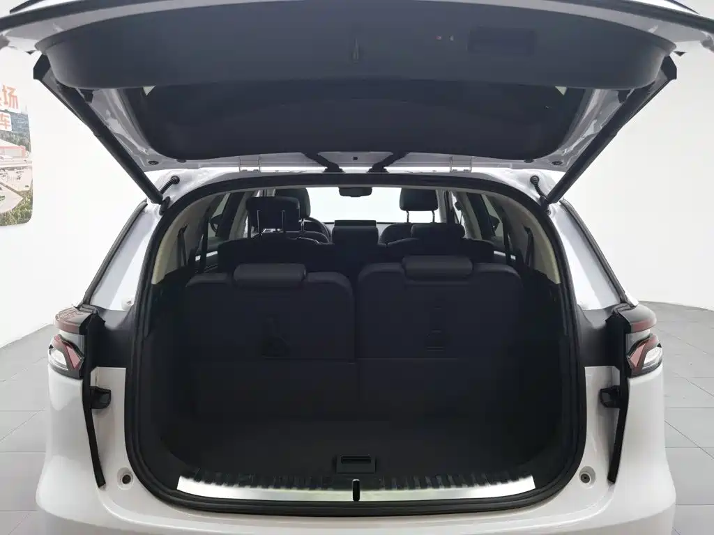 BYD Tang New Energy 2019 — фото 16
