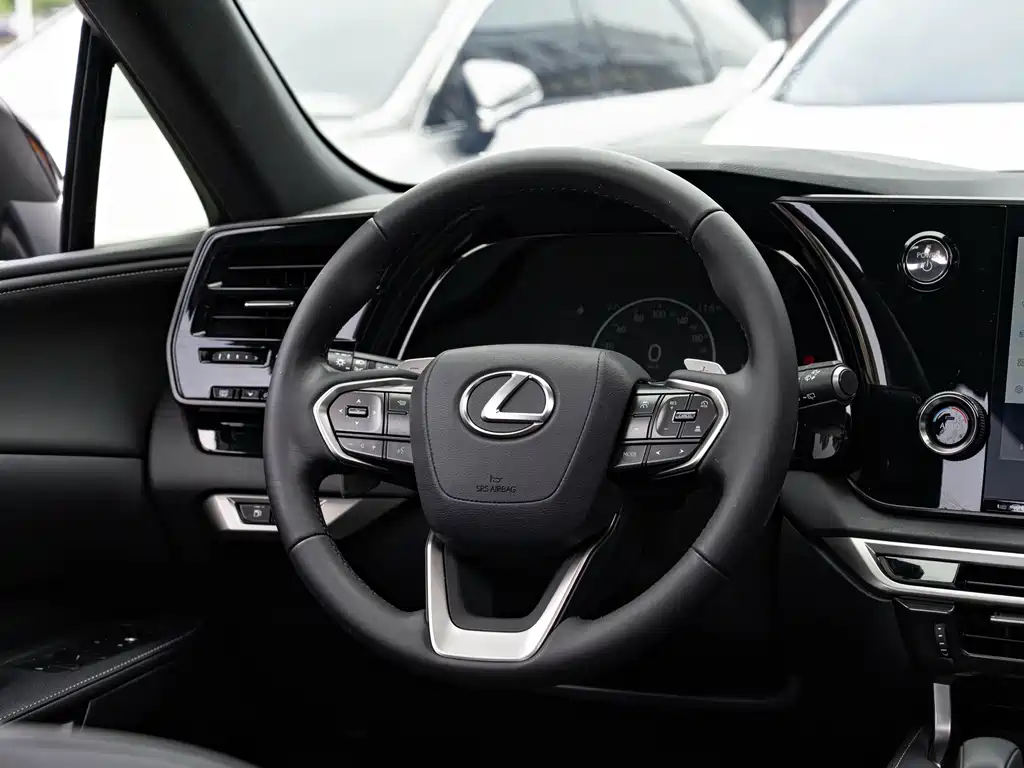 Lexus RX 2024 — фото 14