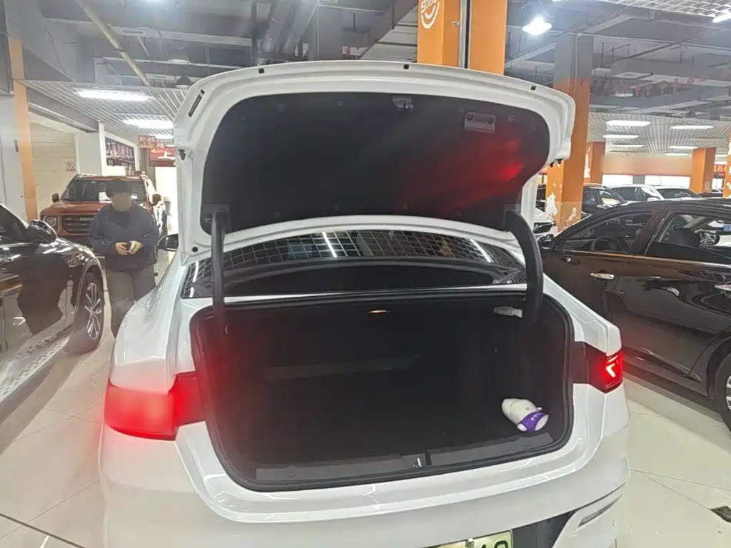 BYD Qin PLUS 2025 — фото 19