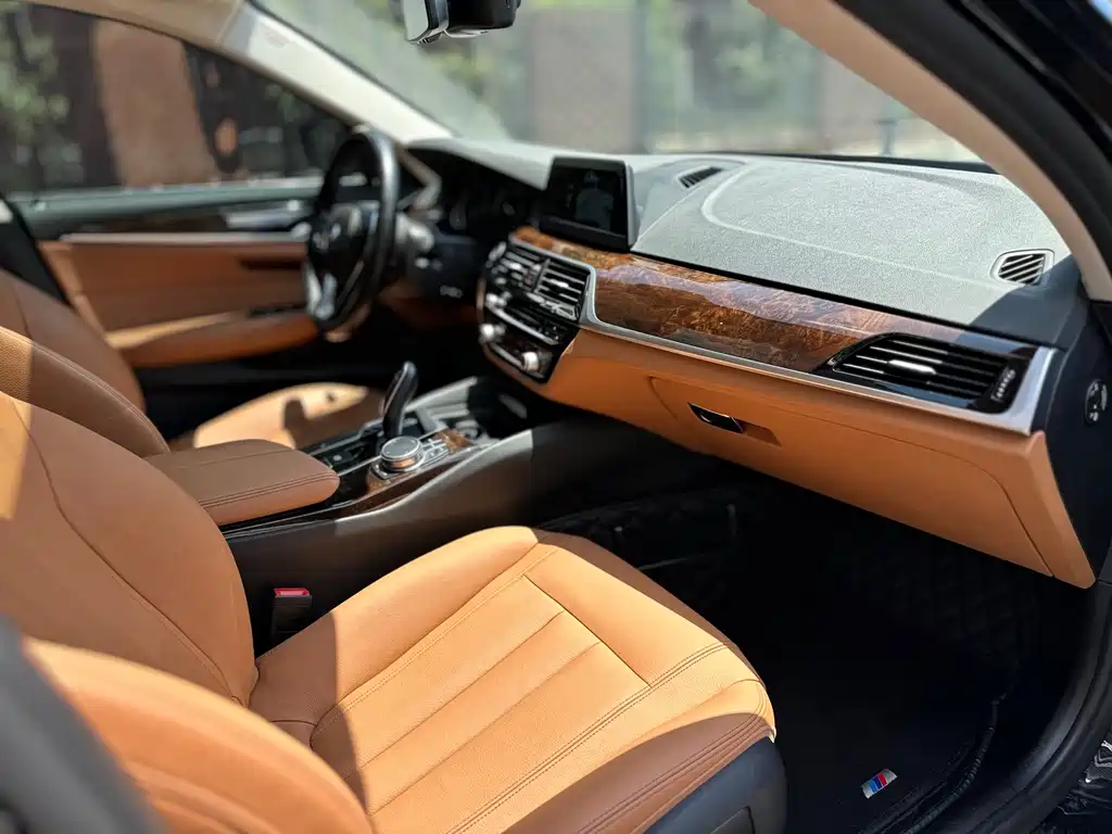 BMW 5 Series 2017 — фото 13