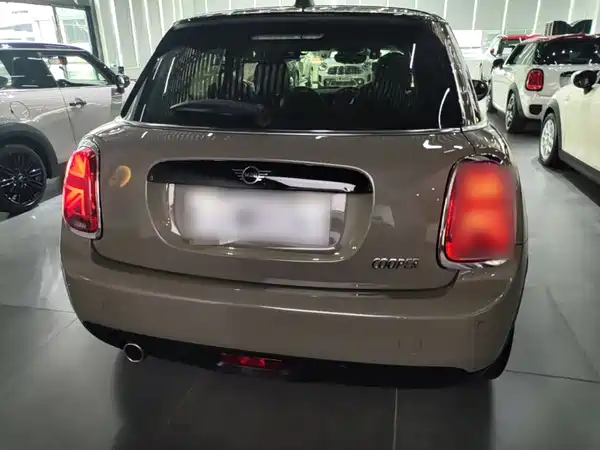MINI MINI 2020