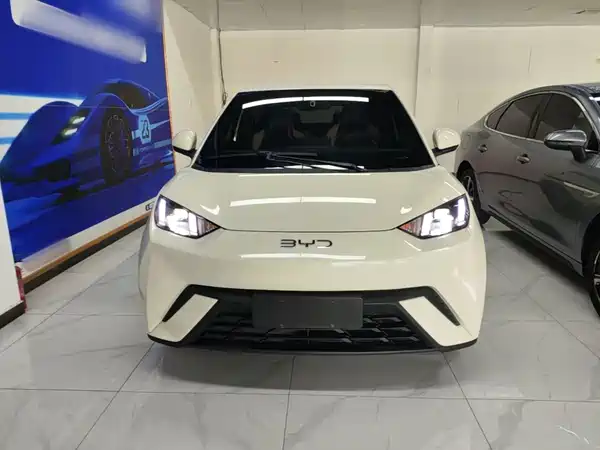 BYD Seagull 2024
