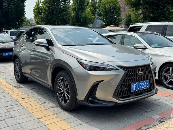 Lexus NX 2024