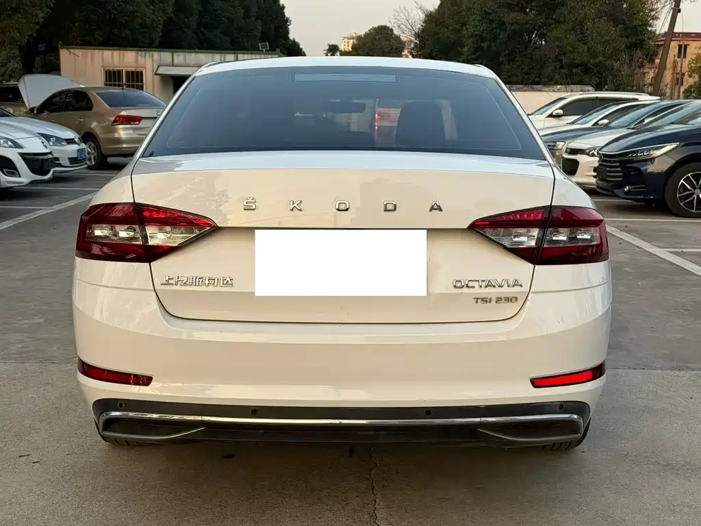 Skoda Octavia 2020 — фото 8