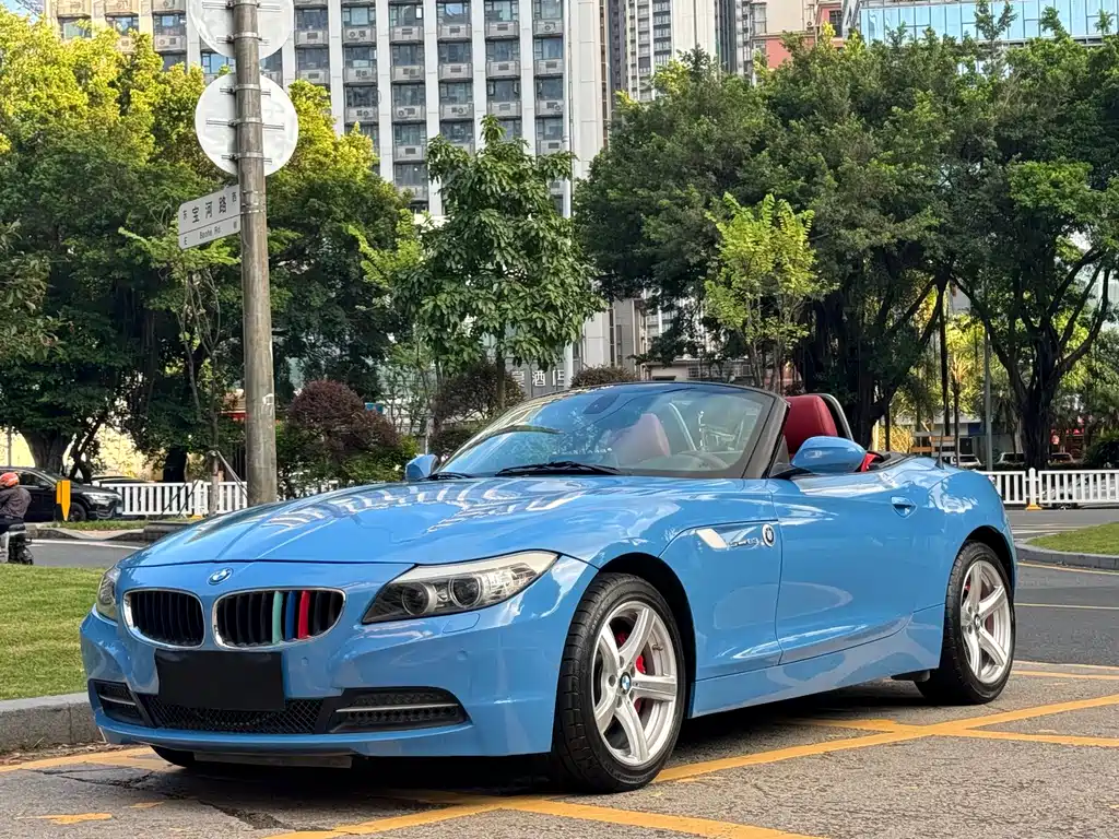 BMW Z4 2010