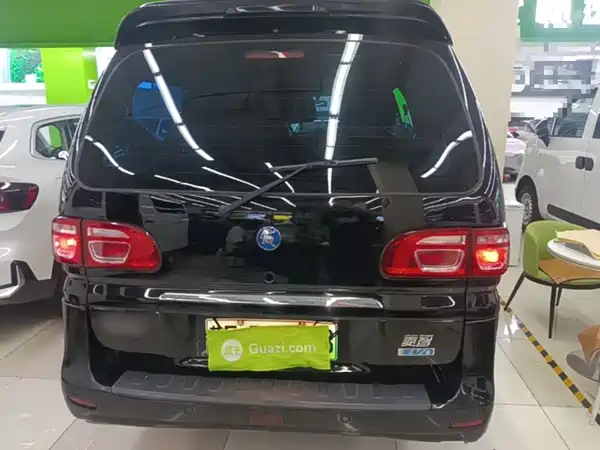 Dongfeng Lingzhi New Energy 2022