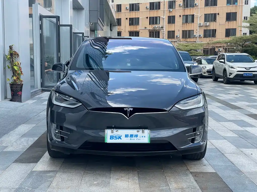 Tesla Model X 2019 — фото 5