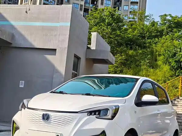 Changan Benben E-Star 2020