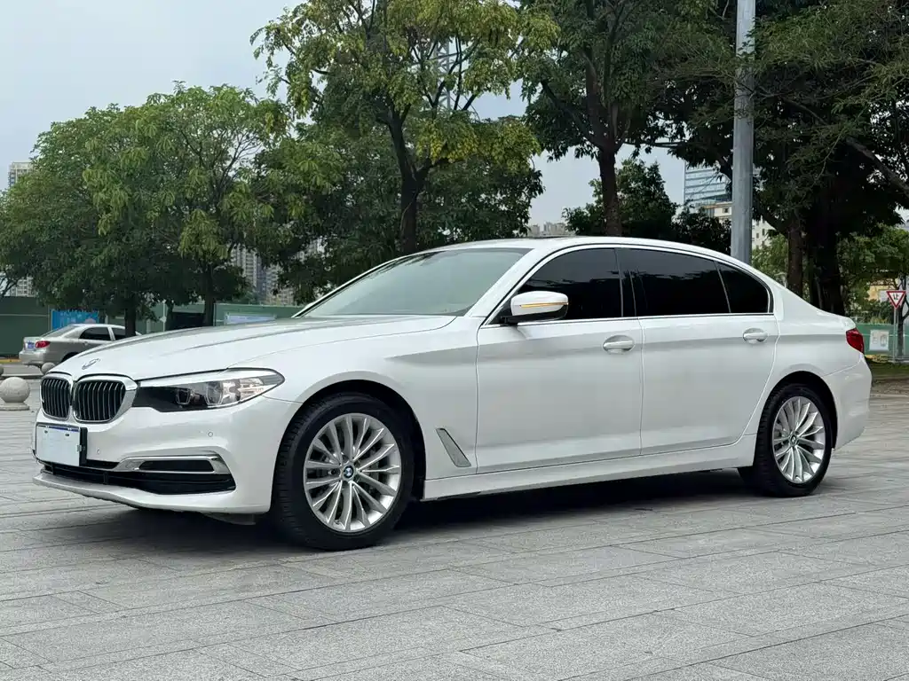 BMW 5 Series 2019
