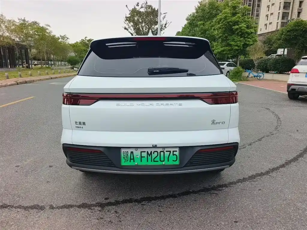 BYD Pro New Energy 2023 — фото 4