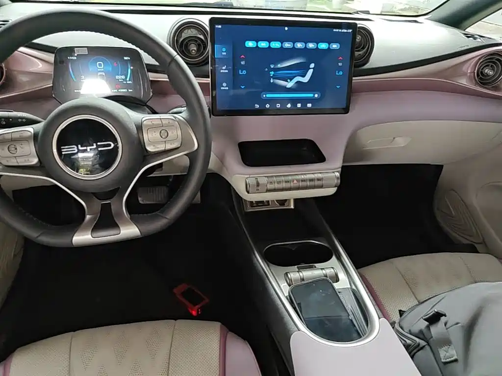 BYD Dolphin 2023 — фото 13