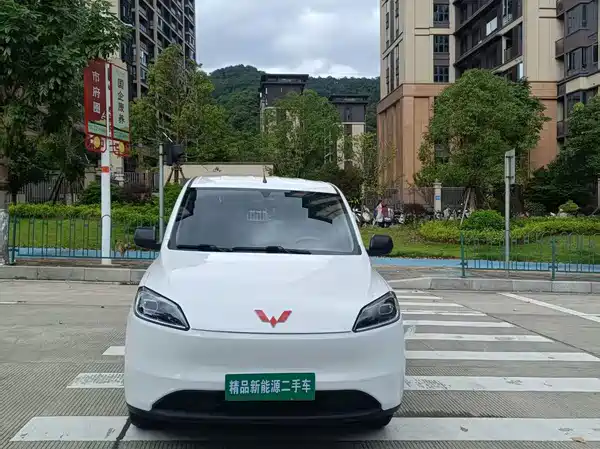 Wuling Hongguang New Energy 2024