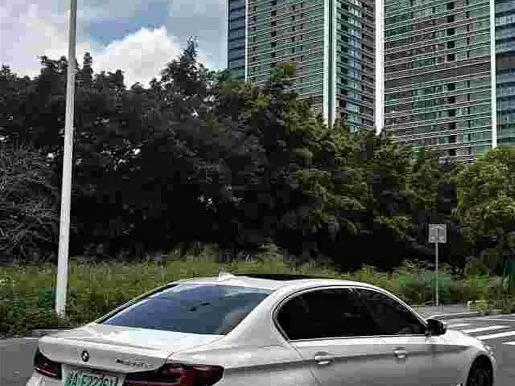 BMW 5 Series New Energy 2021