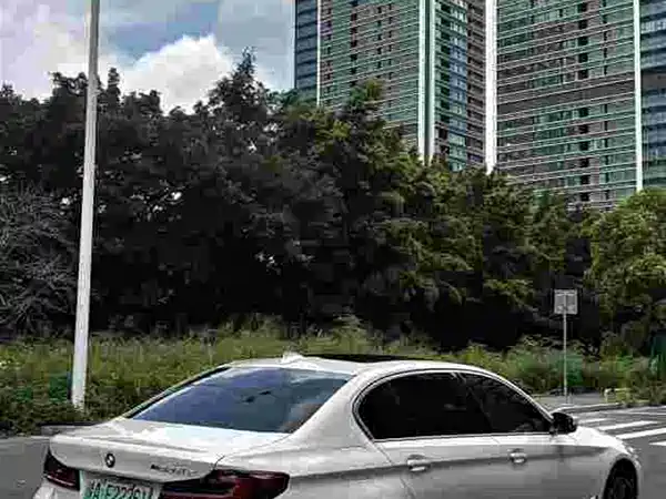 BMW 5 Series New Energy 2021