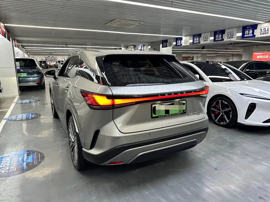 Lexus RX New Energy 2023 — фото 10