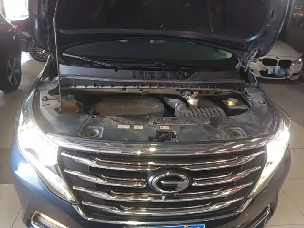 GAC Trumpchi M8 2018 — фото 20