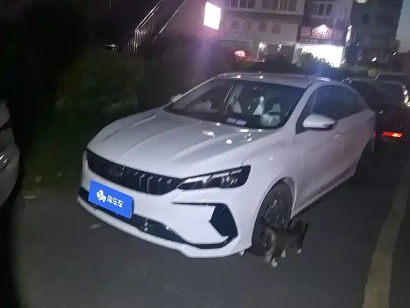 Geely Binrui 2023