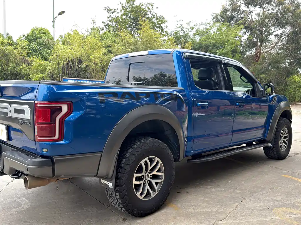 Ford F-150 Raptor 2017 — фото 15