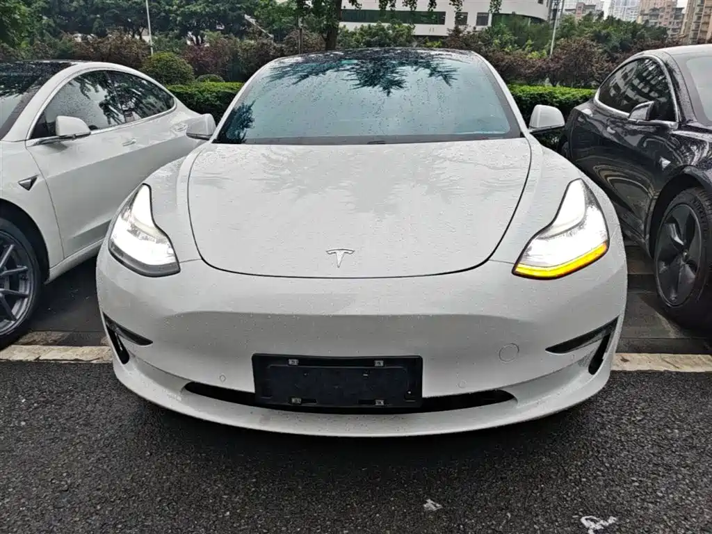 Tesla Model 3 2019 — фото 3
