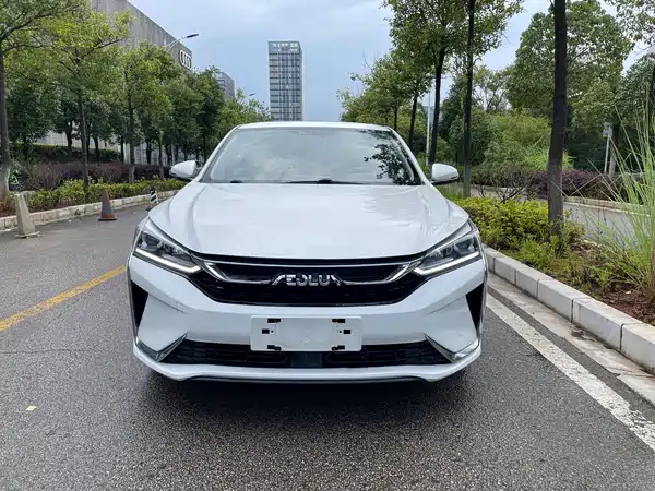 Dongfeng Yixuan 2021