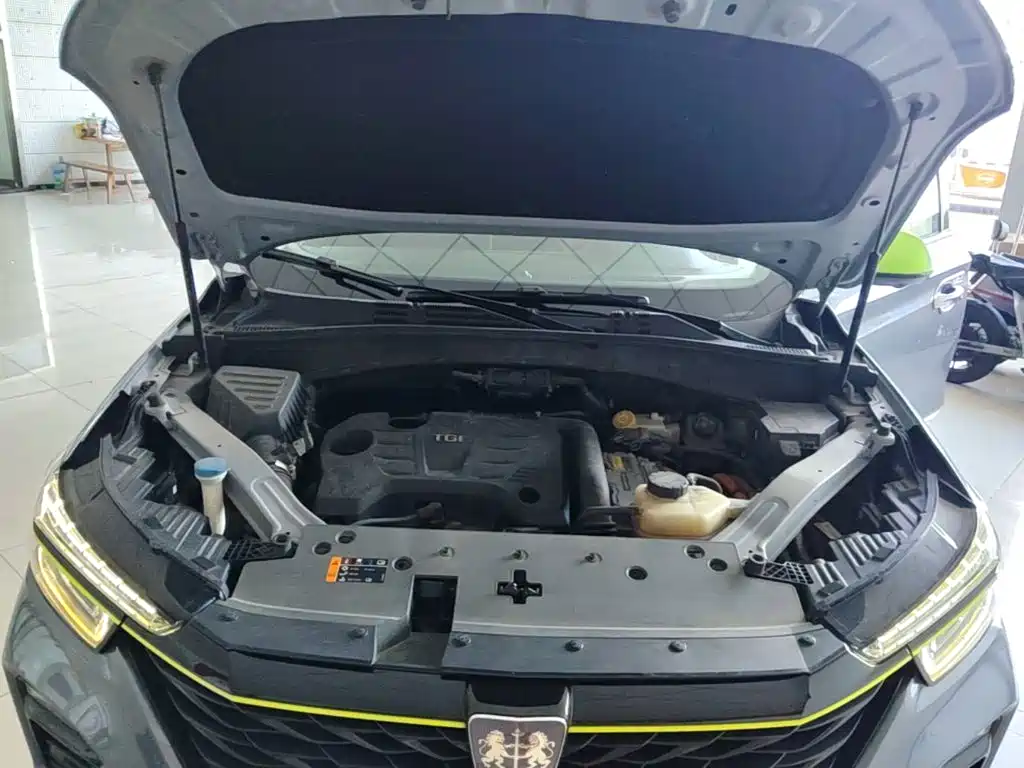 Roewe RX5 New Energy 2021 — фото 20