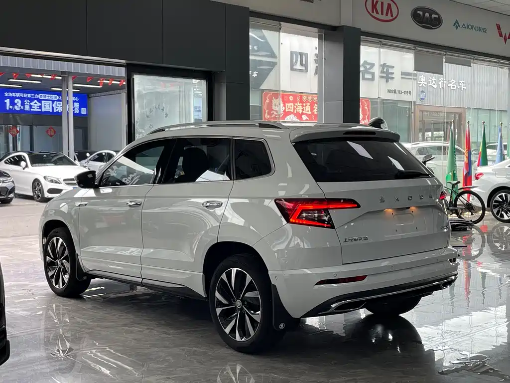 Skoda Karoq 2023 — фото 16