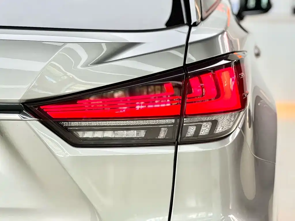 Lexus RX 2020 — фото 18