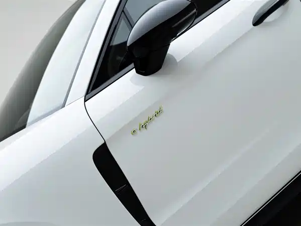 Porsche Panamera New Energy 2021