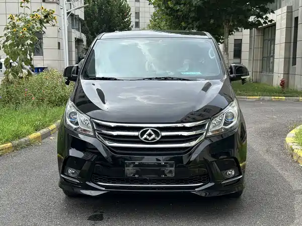 Maxus G10 2019